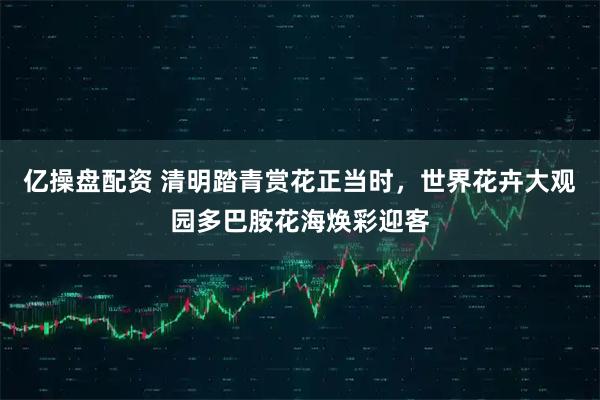 亿操盘配资 清明踏青赏花正当时，世界花卉大观园多巴胺花海焕彩迎客